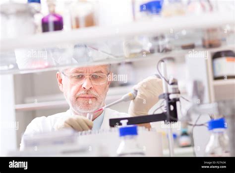 Life Scientist Researching In The Laboratory Stock Photo Image Of Life Scientist Researching In The Laboratory Stock Photo Image Of