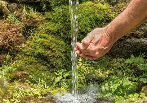 Longo Amp 39 S Natural Spring Water Delivery In Under An Hour Uber Eats