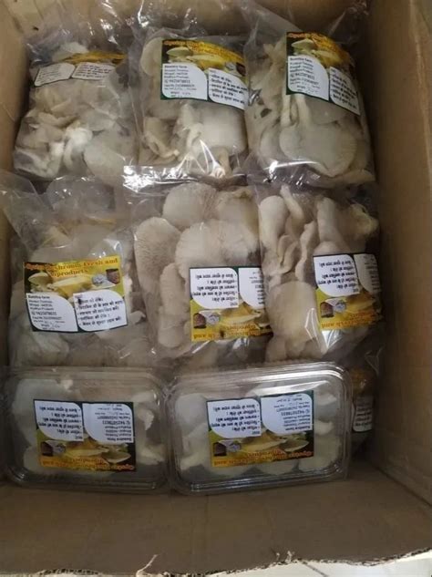 Madhya Pradesh India 200G Oyster Mushroom Fresh Packaging Type Madhya Pradesh India 200G Oyster Mushroom Fresh Packaging Type