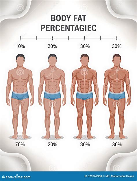 Male Body Fat Percentage Chart Visual Guide Health Fit Man Men Diet Slim Data Stock Illustration Illustration Of Chart Athletic 379362968 Male Body Fat Percentage Chart Visual Guide Health Fit Man Men Diet Slim Data Stock Illustration Illustration Of Chart Athletic 379362968