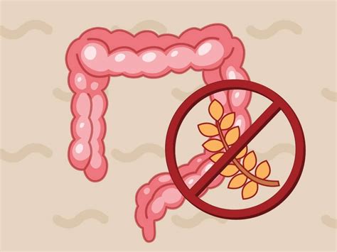 Mayo Clinic Q And A No Proven Way To Prevent Celiac Disease Mayo Clinic News Network Mayo Clinic Q And A No Proven Way To Prevent Celiac Disease Mayo Clinic News Network