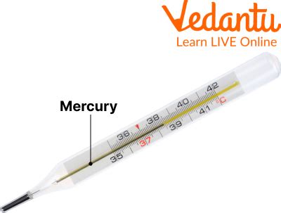 Mercury Element In Thermometer