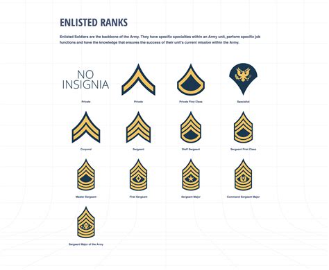 Military Ranks And Insignia Guide