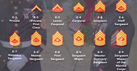 Military Ranks Marine Corps