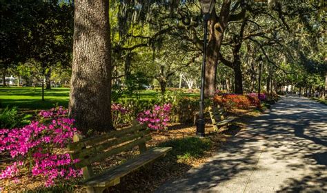 Moving To Savannah Ga The City Steeped In Southern Sweetness Pods