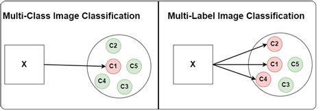 Multi Label Classification Opt