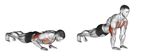 Narrow Pushups Narrow Pushups
