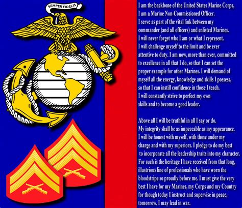 Nco Marine Quotes Quotesgram Nco Marine Quotes Quotesgram