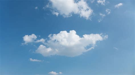 Oak Park Il Weather Forecast Conditions And Maps Yahoo Weather Oak Park Il Weather Forecast Conditions And Maps Yahoo Weather