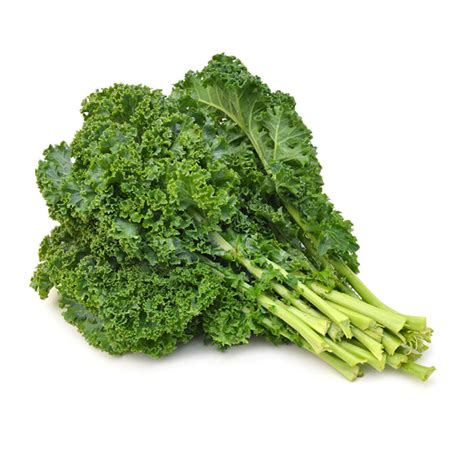 Organic Green Curly Kale 1 Bunch Oya Organics Good Eggs