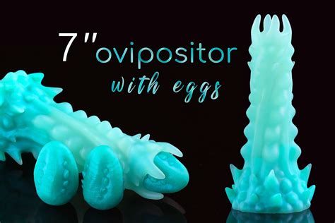 Unleash Your Wild Side With Ovipositors