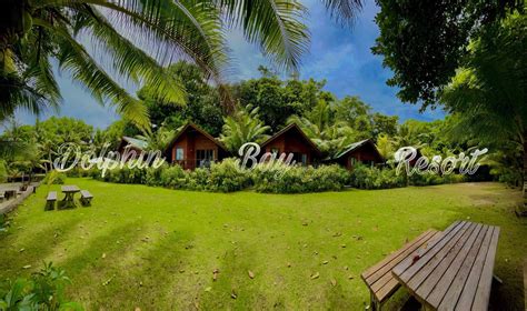 Peleliu Island Dolphin Bay Resort Amp Peleliu Divers In Palau In Palau Peleliu Island Dolphin Bay Resort Amp Peleliu Divers In Palau In Palau