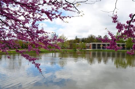 Pennsylvania State University Altoona Campus University Colleges Details Pathways To Jobs Pennsylvania State University Altoona Campus University Colleges Details Pathways To Jobs