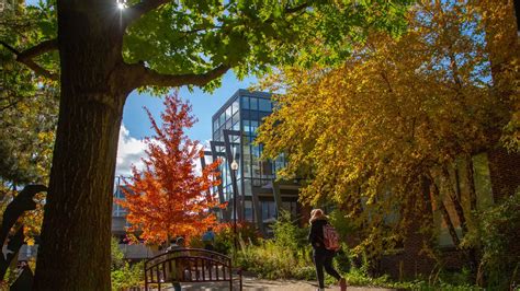 Physician Assistant Gannon University Physician Assistant Gannon University