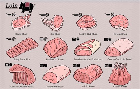 Pork Cuts Explained Ultimate Guide To Different Cuts Of Pork Pork Cuts Explained Ultimate Guide To Different Cuts Of Pork
