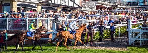 Racecard Pontefract Races Racecard Pontefract Races