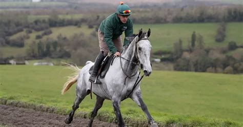 Respected Nigel Twiston Davies Employee Suffers Life Threatening Respected Nigel Twiston Davies Employee Suffers Life Threatening