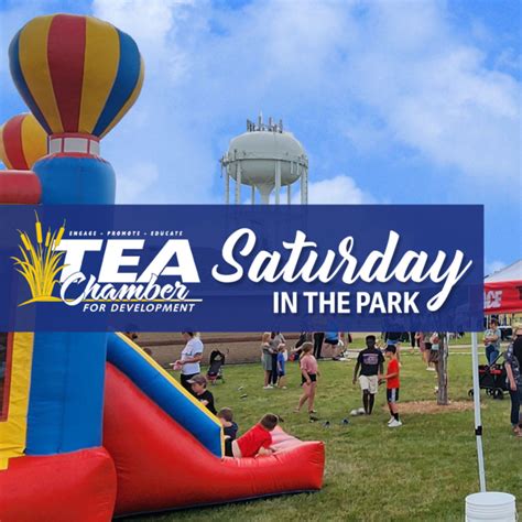 Saturday In The Park Tea Chamber For Development Saturday In The Park Tea Chamber For Development