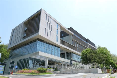 School Of Dentistry Seoul National University School Of Dentistry Seoul National University