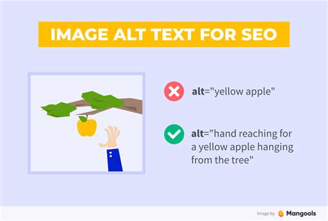 Seo Alt Text Seo Alt Text
