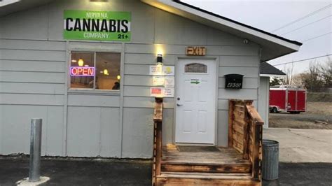 Shop Ice Cream Cake Nirvana Cannabis Company Tri Cities Dispensary Richland Wa Shop Ice Cream Cake Nirvana Cannabis Company Tri Cities Dispensary Richland Wa