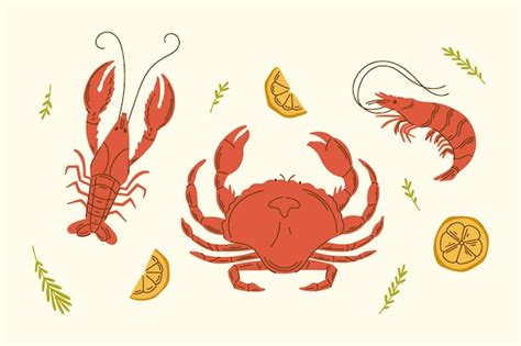 Shrimp Crawfish And Crab Vector Set Illustration With Limon Seafood Vector Design Elements Premium Vector Shrimp Crawfish And Crab Vector Set Illustration With Limon Seafood Vector Design Elements Premium Vector