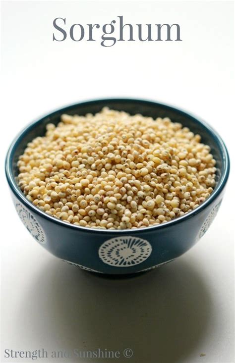 Sorghum The Ancient Gluten Free Miracle Sorghum The Ancient Gluten Free Miracle