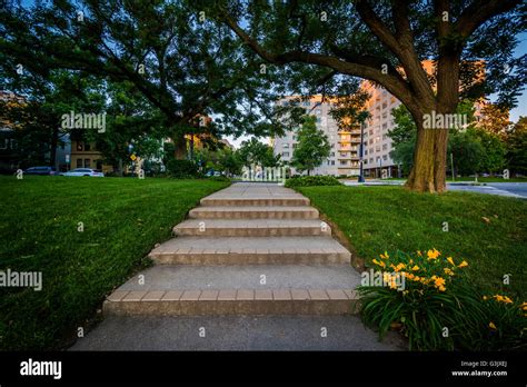 Stairs And Tree In A Small Park Near Foggy Bottom Washington Dc Stock Stairs And Tree In A Small Park Near Foggy Bottom Washington Dc Stock