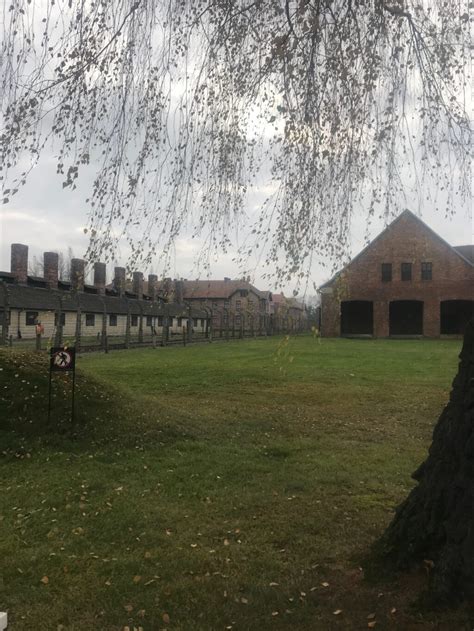 Students Share Harrowing Lessons From The Holocaust On Auschwitz Visit Students Share Harrowing Lessons From The Holocaust On Auschwitz Visit