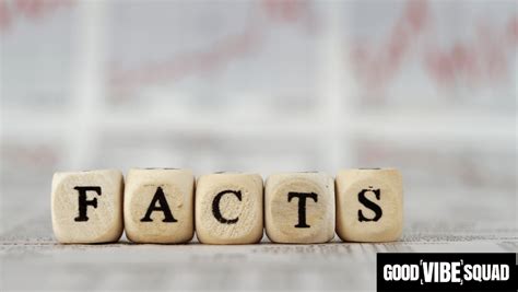 Surprising Facts About Loan Officers Good Vibe Squad