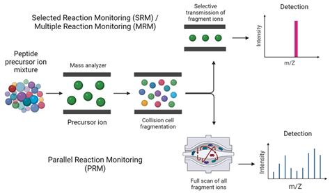 Cost-Effective Applications Of Targeted Single Ion Monitoring Ms