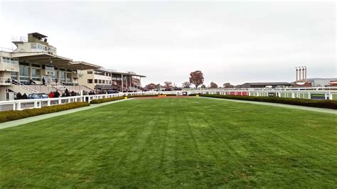Taunton Racecourse Jfd Racing