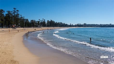 The 10 Best Shops In Williamsburg 2026 Ranked The 10 Best Shops In Williamsburg 2026 Ranked