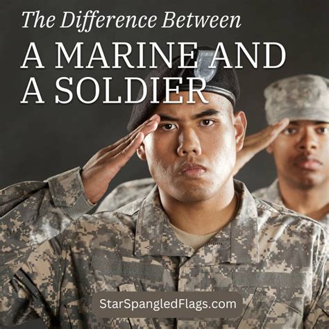 The Difference Between A Marine And A Soldier Starspangledflags Com The Difference Between A Marine And A Soldier Starspangledflags Com