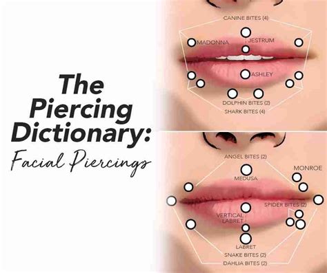 The Piercing Dictionary Facial Lip Piercings The Piercing Dictionary Facial Lip Piercings