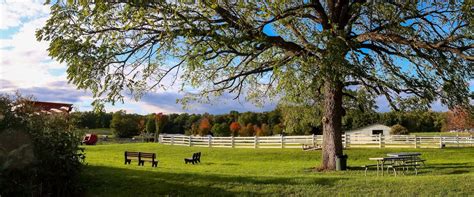 Things To Do In Farmington Hills In 2026 Expedia Things To Do In Farmington Hills In 2026 Expedia