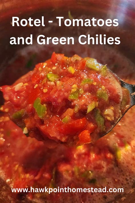 Tomatoes And Green Chilies