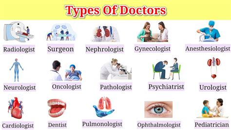 Types Of Doctors 22 Types Of Specialist Doctors Doctor Names