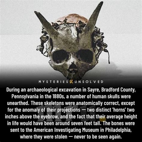 Unsolved During An Archaeological Excavation In Sayre Bradford County Unsolved During An Archaeological Excavation In Sayre Bradford County
