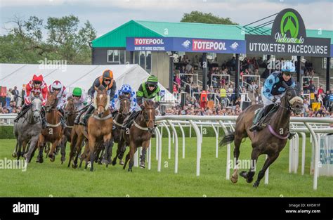Uttoxeter Races