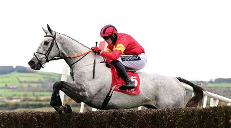 Vanillier Installed As Grand National Favourite After Weights Are Revealed Betting Bet Vanillier Installed As Grand National Favourite After Weights Are Revealed Betting Bet