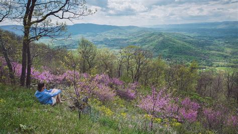 Visit Front Royal 2026 Travel Guide For Front Royal Virginia Expedia Visit Front Royal 2026 Travel Guide For Front Royal Virginia Expedia