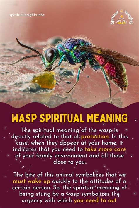 Wasp Spiritual Meaning Wasp Spiritual Meaning