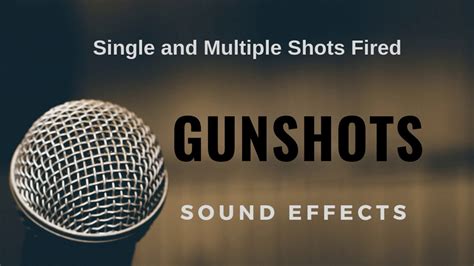 What Does A Gunshot Sound Like At Dominic Johnson Blog What Does A Gunshot Sound Like At Dominic Johnson Blog
