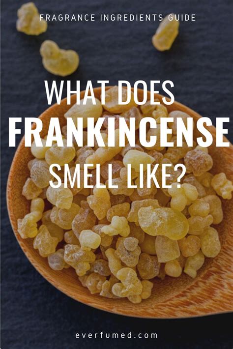 What Does Frankincense Oil Smell Like What Does Frankincense Oil Smell Like