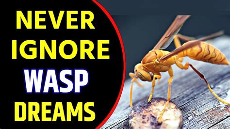What Does Wasp Dream Meaning Dreaming Of Wasps Wasp Dream Interpretation What Does Wasp Dream Meaning Dreaming Of Wasps Wasp Dream Interpretation