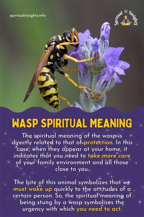 What S The Spiritual Meaning Of A Wasp What S The Spiritual Meaning Of A Wasp