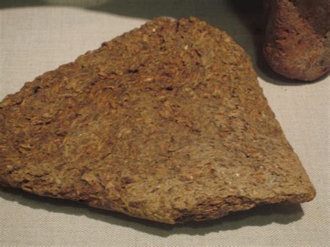 World Amp 39 S Oldest Bread Found At Prehistoric Site In Jordan World Amp 39 S Oldest Bread Found At Prehistoric Site In Jordan