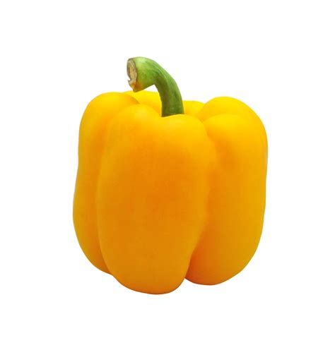 Yellow Bell Pepper 50 Seeds Georgia Seed Garden Yellow Bell Pepper 50 Seeds Georgia Seed Garden